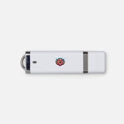 Clé USB 8 Go