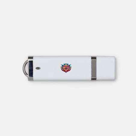 Clé USB 8 Go