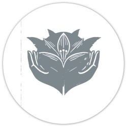 Bouchon de vin Sangio