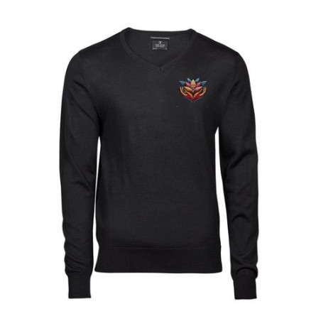 Pull à col en V en mélange de laine mérinos de Tee Jays®